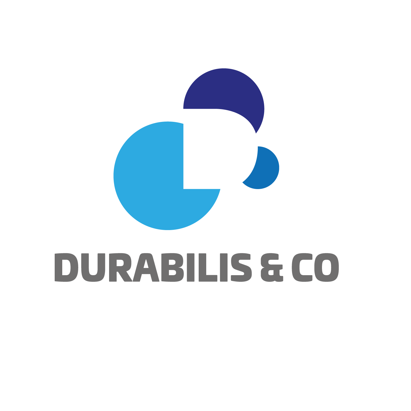 LOGO DURABILIS