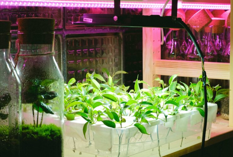 Keur_connect_img_AgroTech (1)